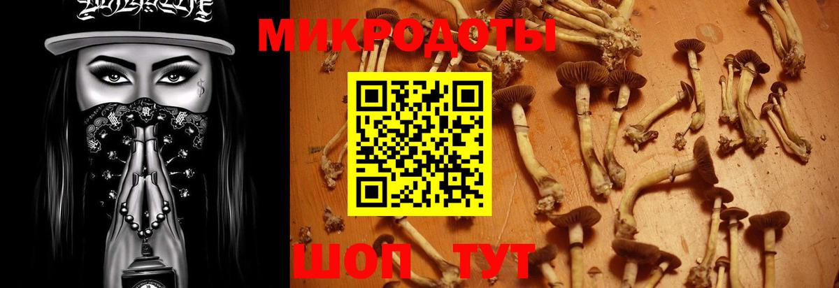 Алушта  Галлюциногенные грибы мухоморы  Вход с VPN 